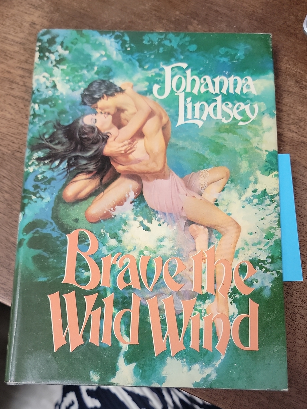 Brave the Wild Wind by Johanna Lindseh